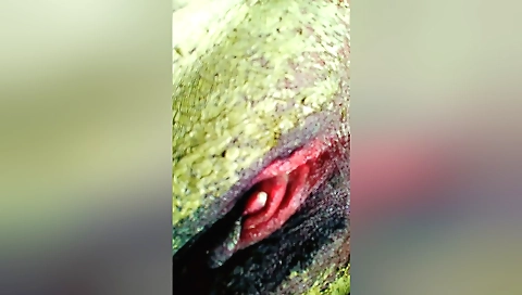 Indian teen gets her big boobed pussy creampied by a guy