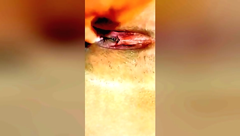 Solo female amateur porn with a sexy black dress and a face