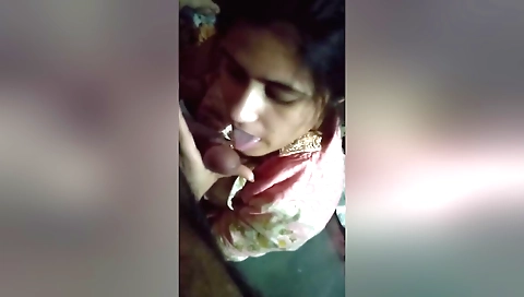 Busty brunette babe sucks and gets her pussy licked